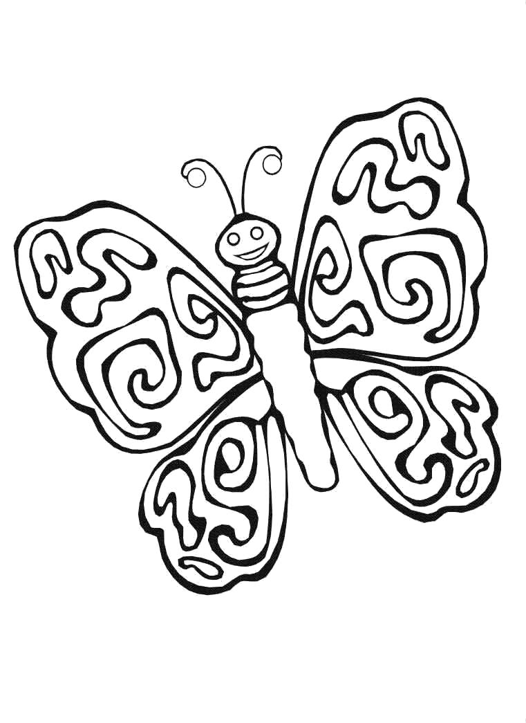 Раскраска бабочка с прожилками. Насекомые