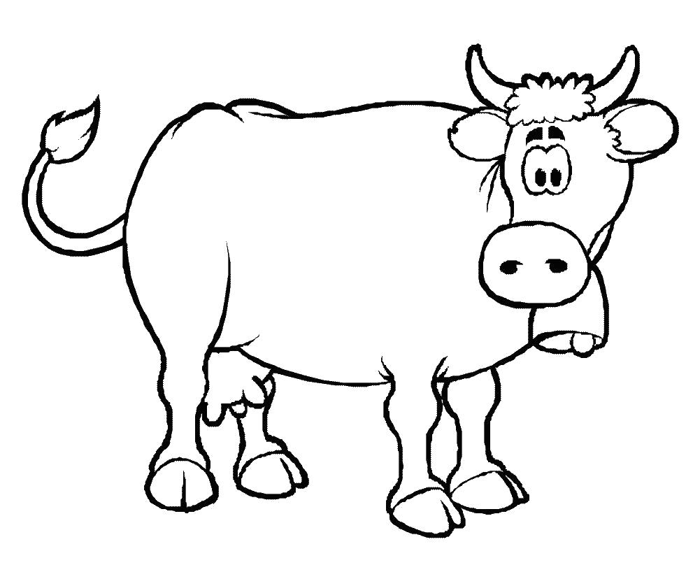 Название: Раскраска Раскраски для детей. Категория: Домашние животные. Теги: Корова.