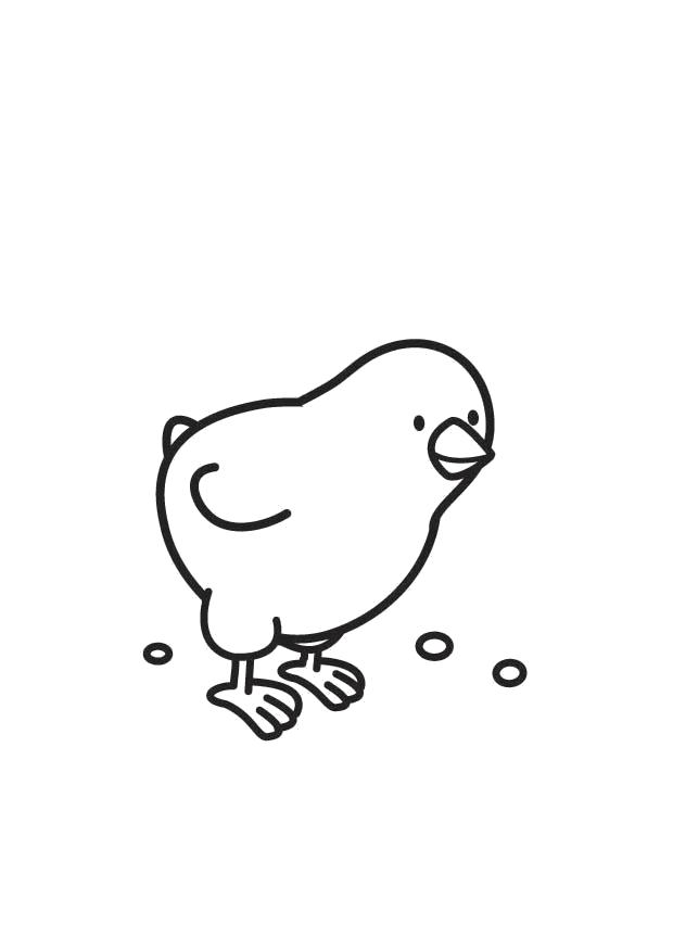 Раскраска цыпленок клюет зерно. Скачать Цыплята.  Распечатать Домашние животные