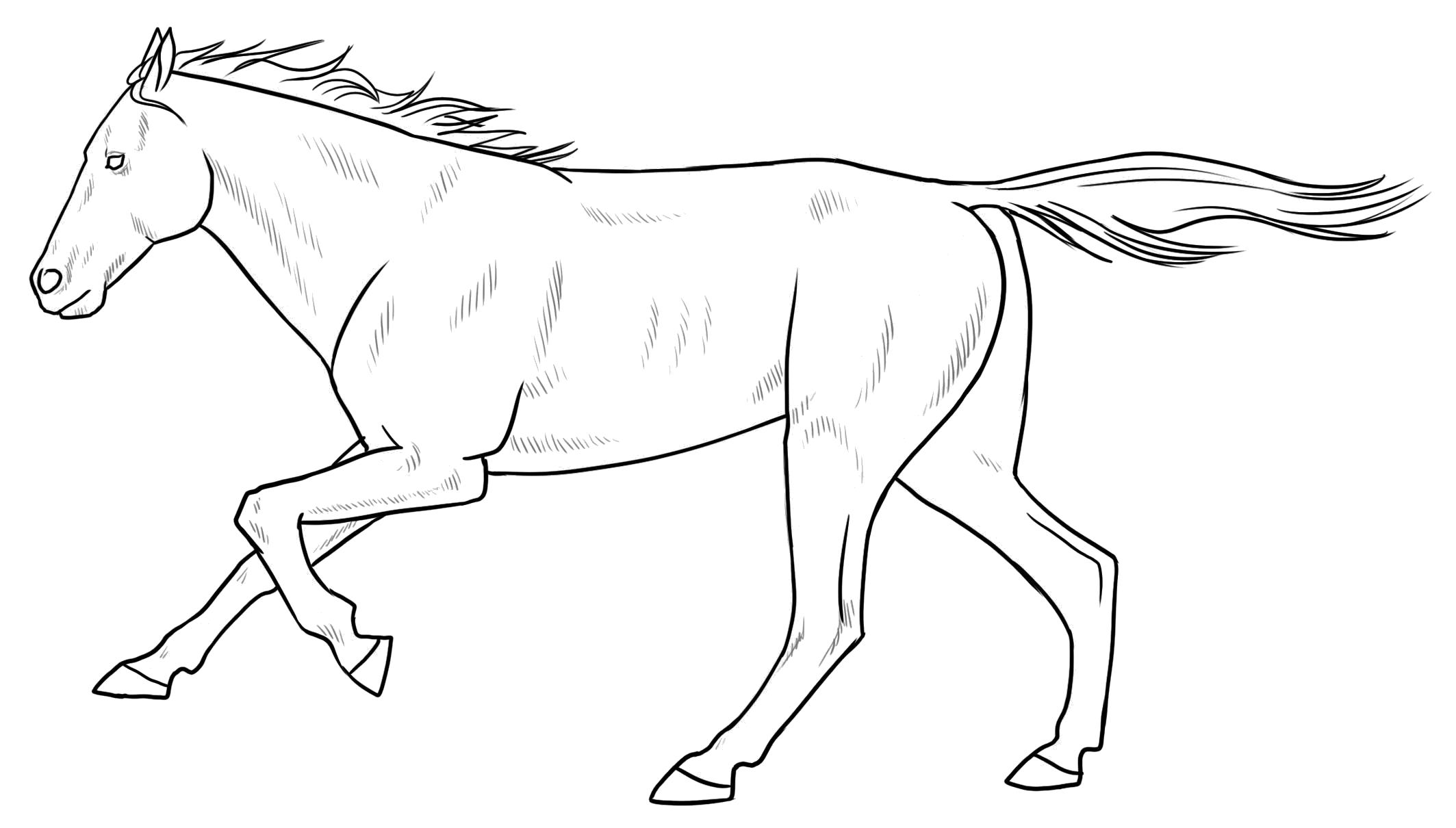 Название: Раскраска раскраски лошадка. Категория: Лошадка. Теги: Лошадка.