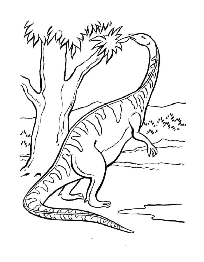 Раскраска  динозавр кушает листву. Скачать динозавр.  Распечатать динозавр