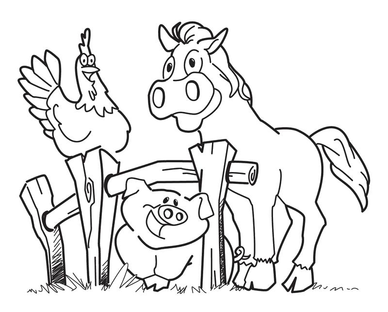 Раскраска Свинья, Петух и Лошадь. Домашние животные