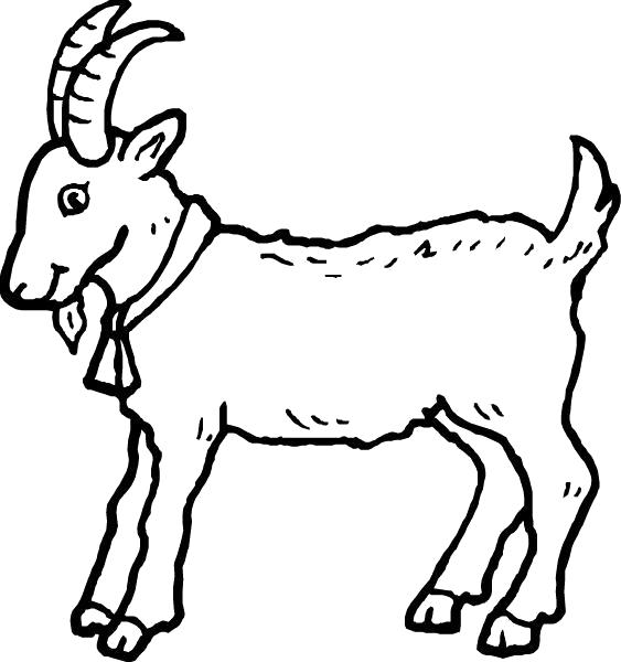Раскраска коза. Домашние животные