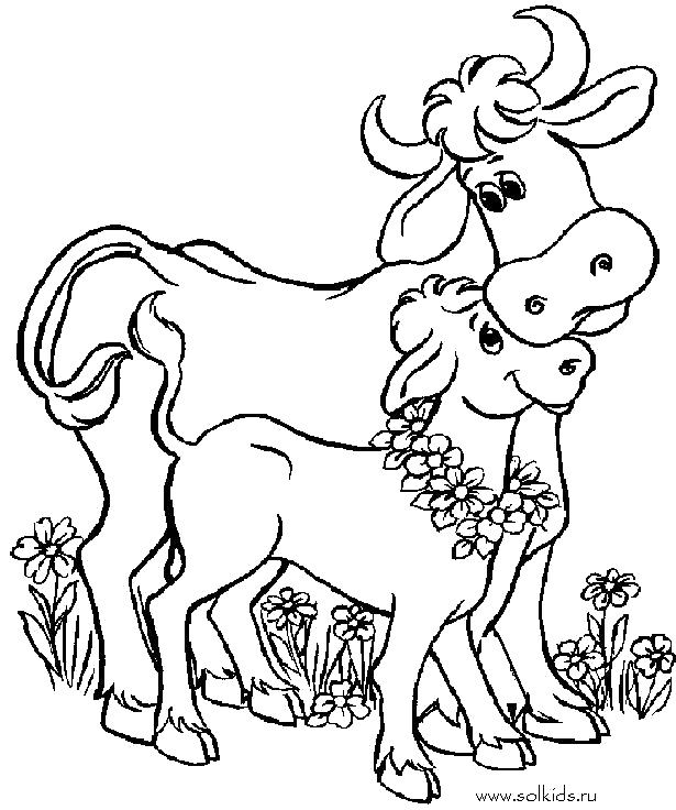 Раскраска Раскраска Корова и Теленок. Домашние животные