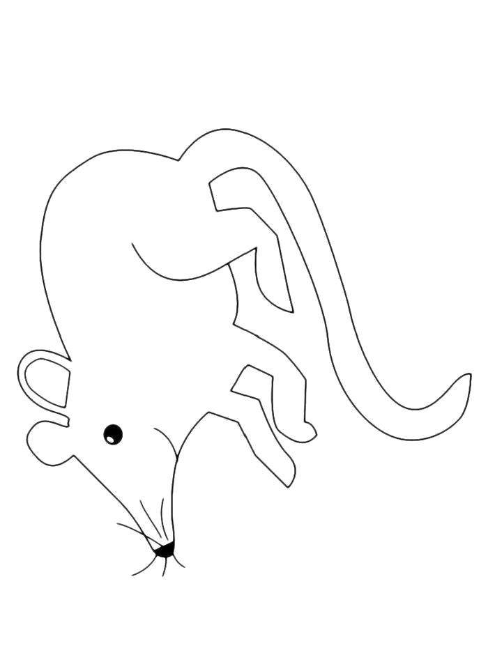 Раскраска Раскраска Хитрый мышонок. мышь