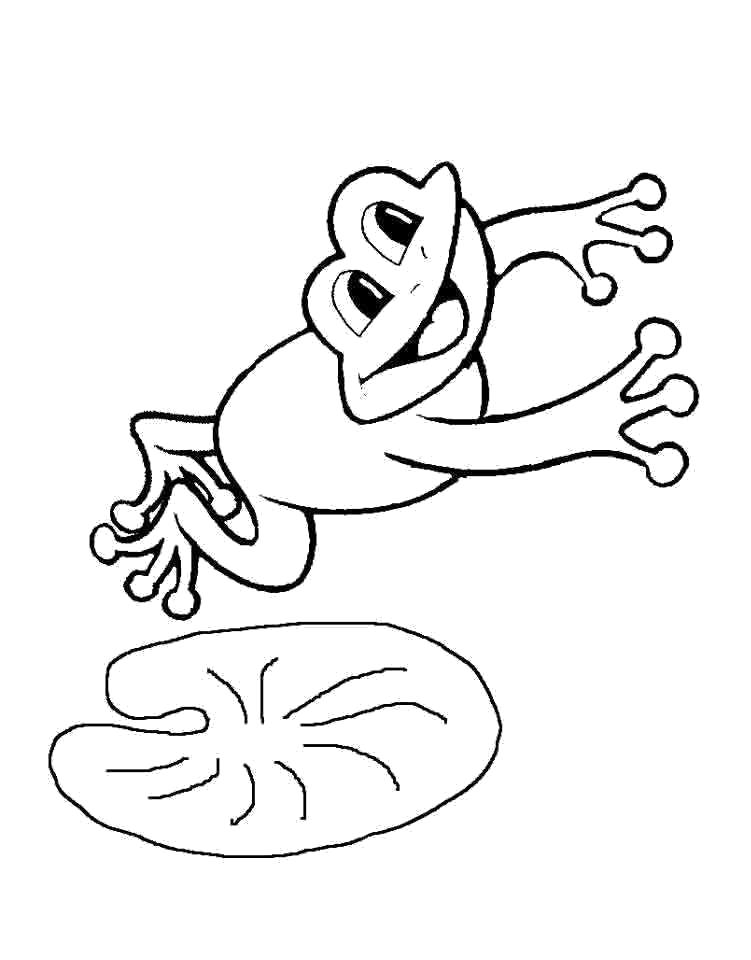 Раскраска лягушка прыгает. лягушка