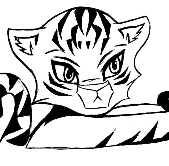 Раскраска Красивый тигренок. Дикие животные