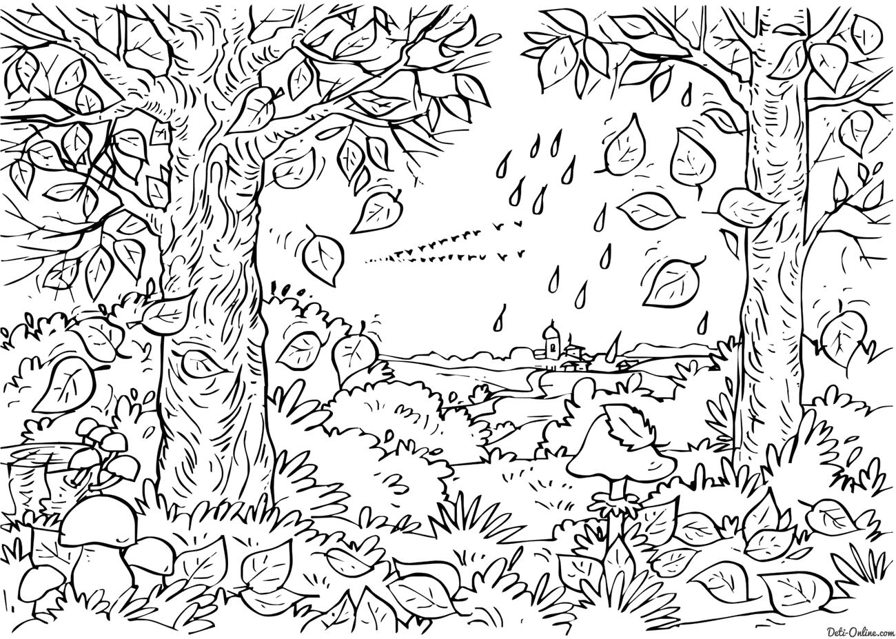 Раскраска Раскраска Осень в лесу. Времена года