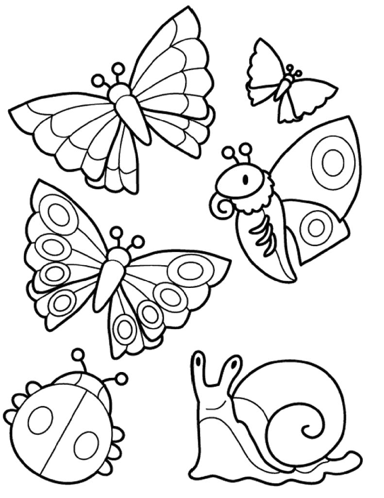 Название: Раскраска Насекомые Раскраска для детей, раскраска для девочек, раскраска для мальчиков Раскраски распечатать. Категория: Насекомые. Теги: Бабочки, Божья коровка.