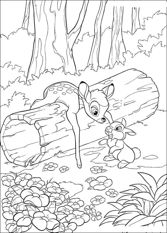 Название: Раскраска Бэмби и заяц Топотун. Категория: Дикие животные. Теги: Олень, Заяц.