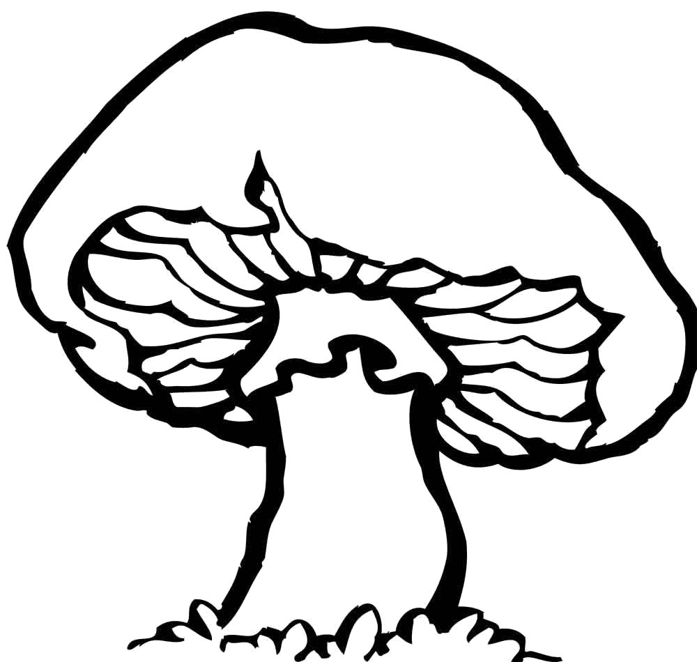 Раскраска гриб. гриб
