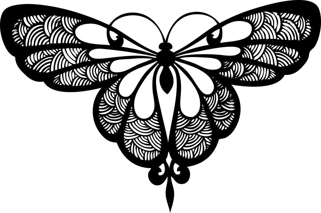 Раскраска Бабочка для раскрашивания. Насекомые