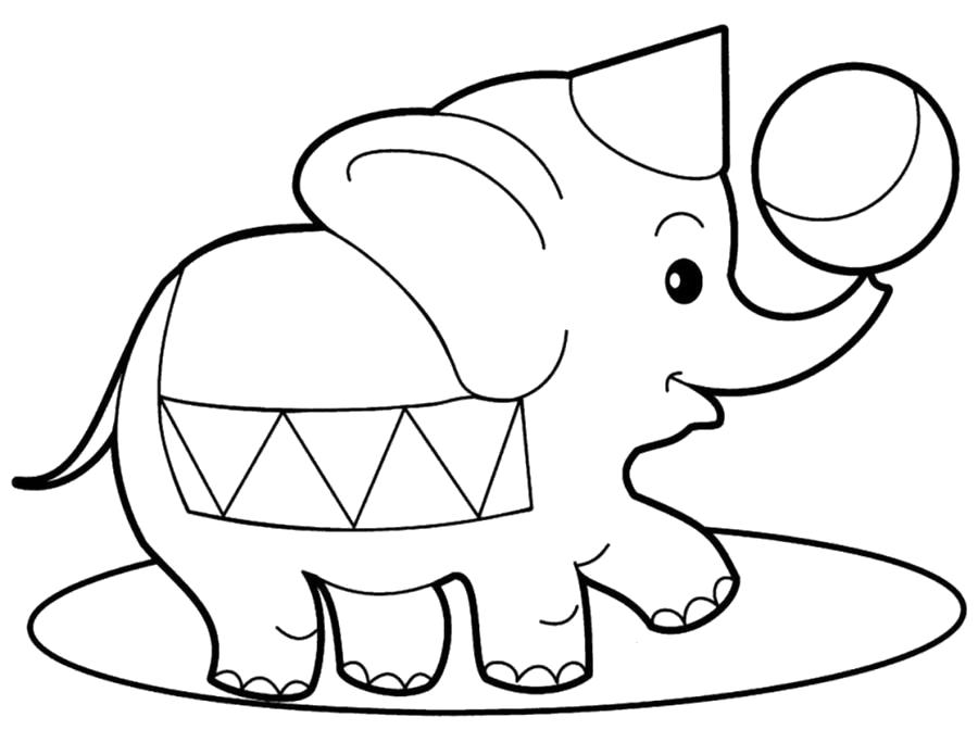 Раскраска слоник играется с мячем. Скачать слон.  Распечатать Дикие животные
