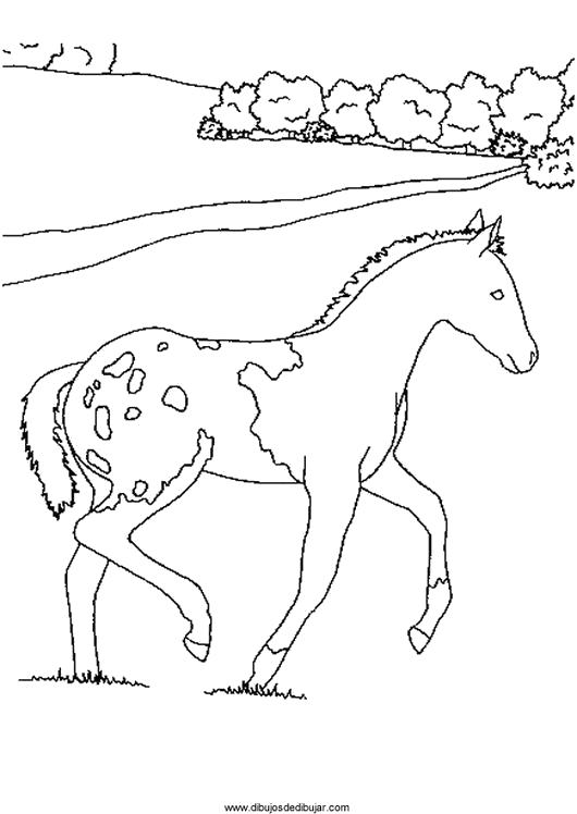 Раскраска  Лошади  для детей, лошадка, дорога, лес. Скачать Лошадка.  Распечатать Лошадка
