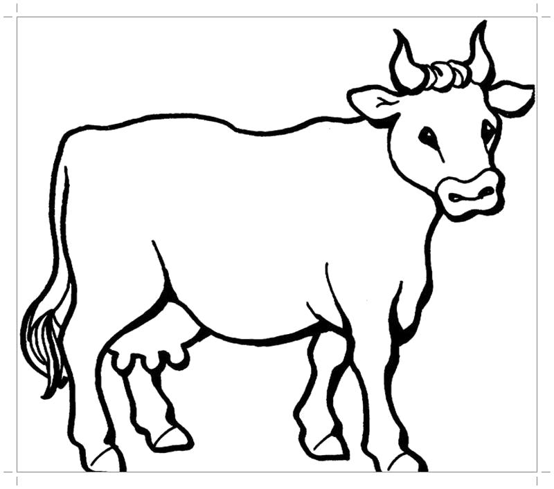 Название: Раскраска Раскраска корова. Категория: Домашние животные. Теги: Корова.