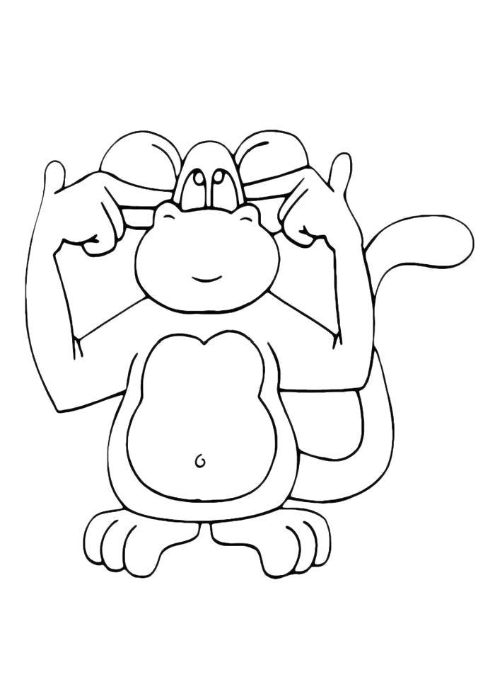 Раскраска  Смешная обезьяна. Скачать обезьяна.  Распечатать обезьяна