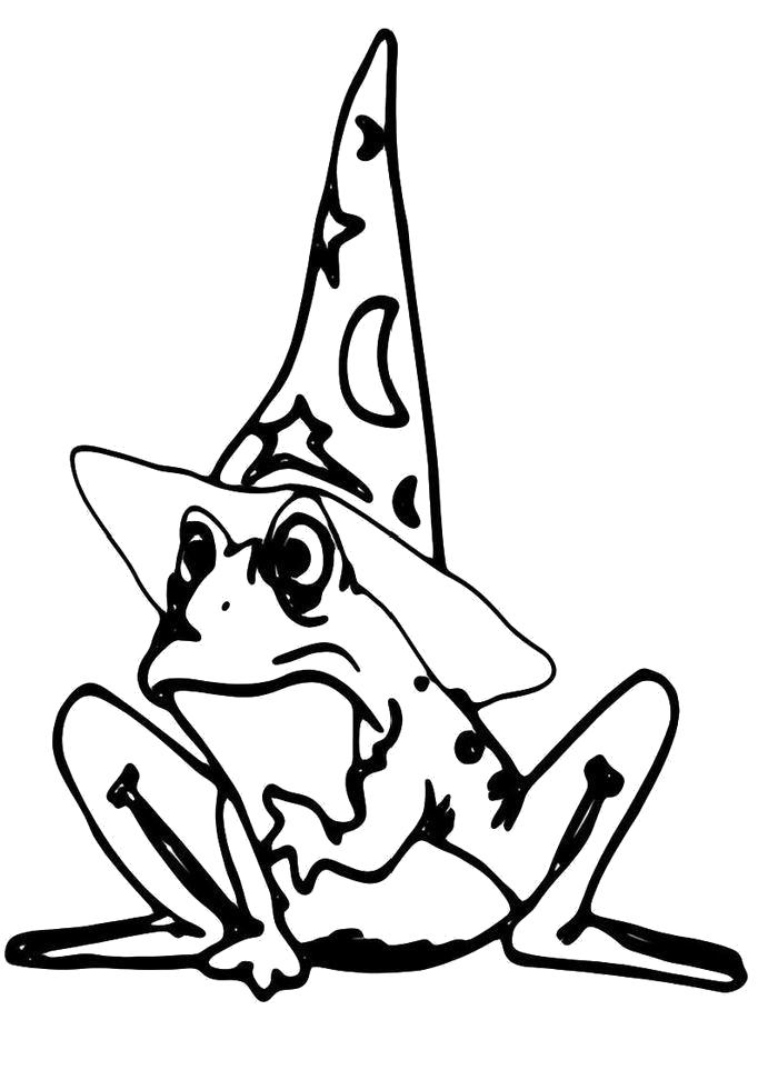 Название: Раскраска Раскраска Лягушка - волшебница. Категория: лягушка. Теги: лягушка.