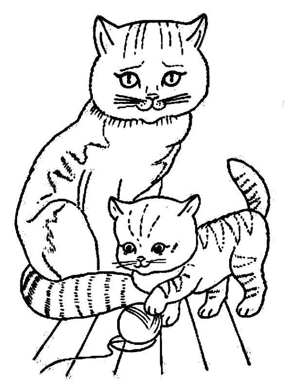Название: Раскраска Раскраски котов и котят. Категория: Домашние животные. Теги: кошка, Котенок.