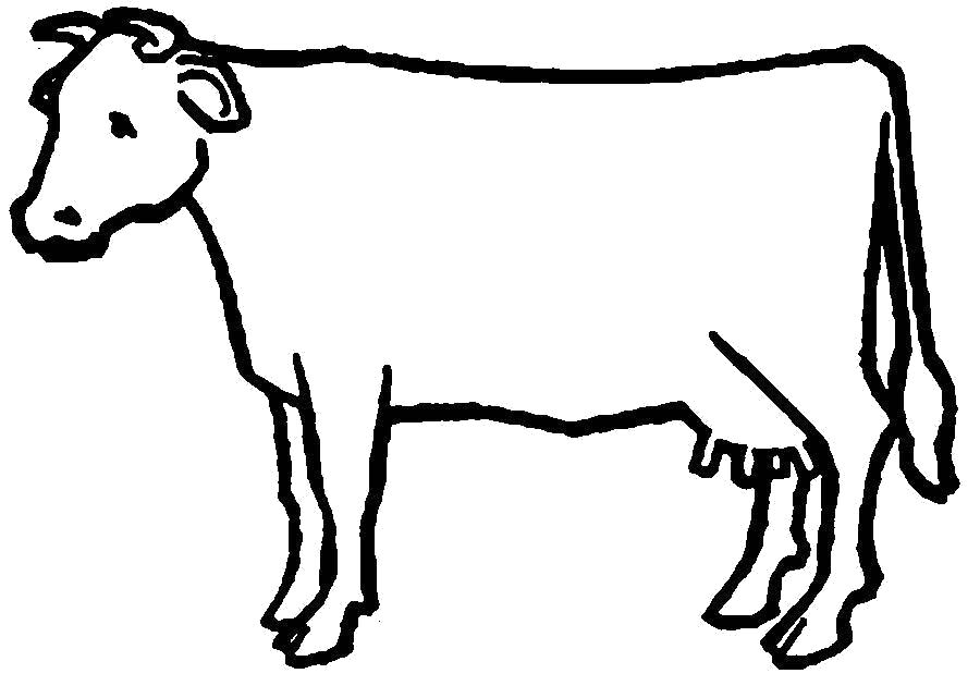 Раскраска Просто коровка. Скачать Корова.  Распечатать Домашние животные