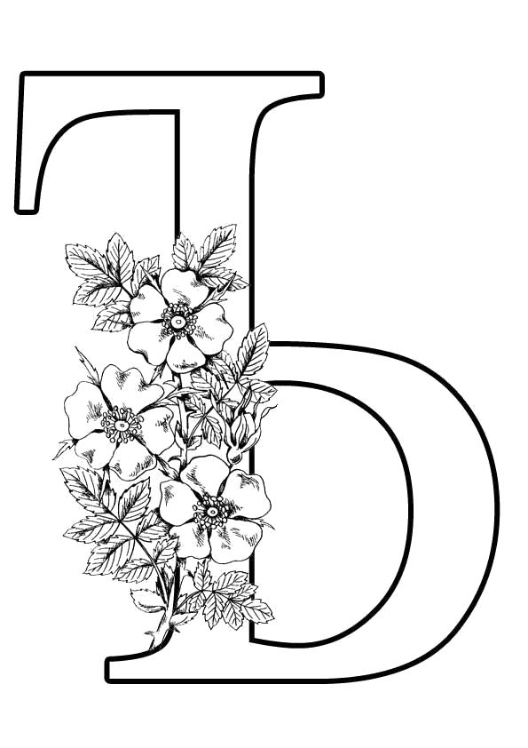 Раскраска Буква Ъ формата А4. Алфавит