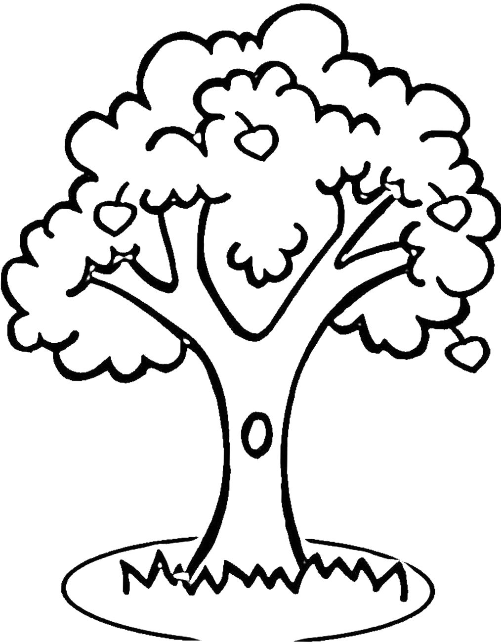 Раскраска Дерево с дуплом. деревья