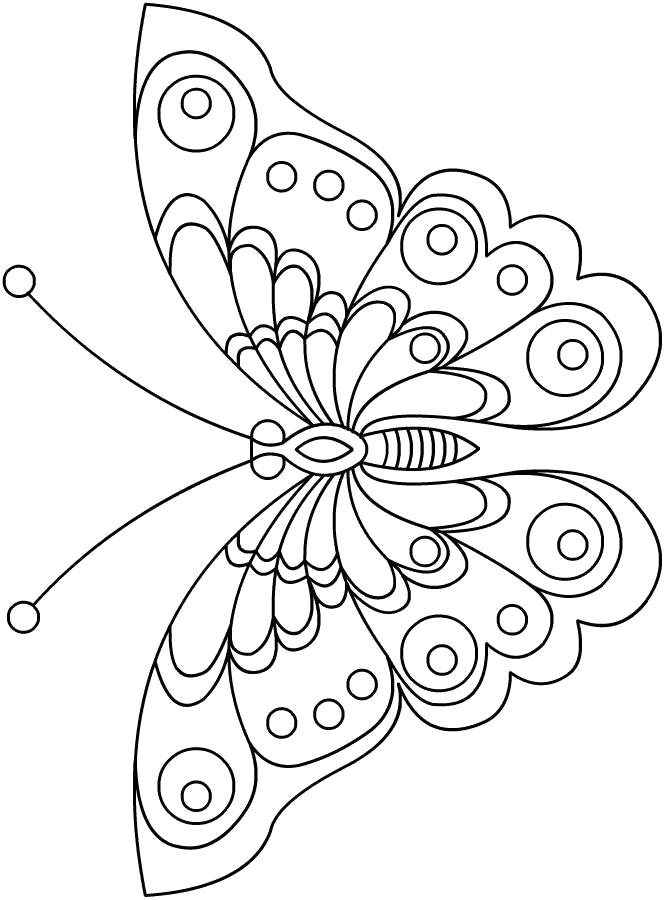 Название: Раскраска Раскраска бабочка. Категория: Насекомые. Теги: Бабочки.