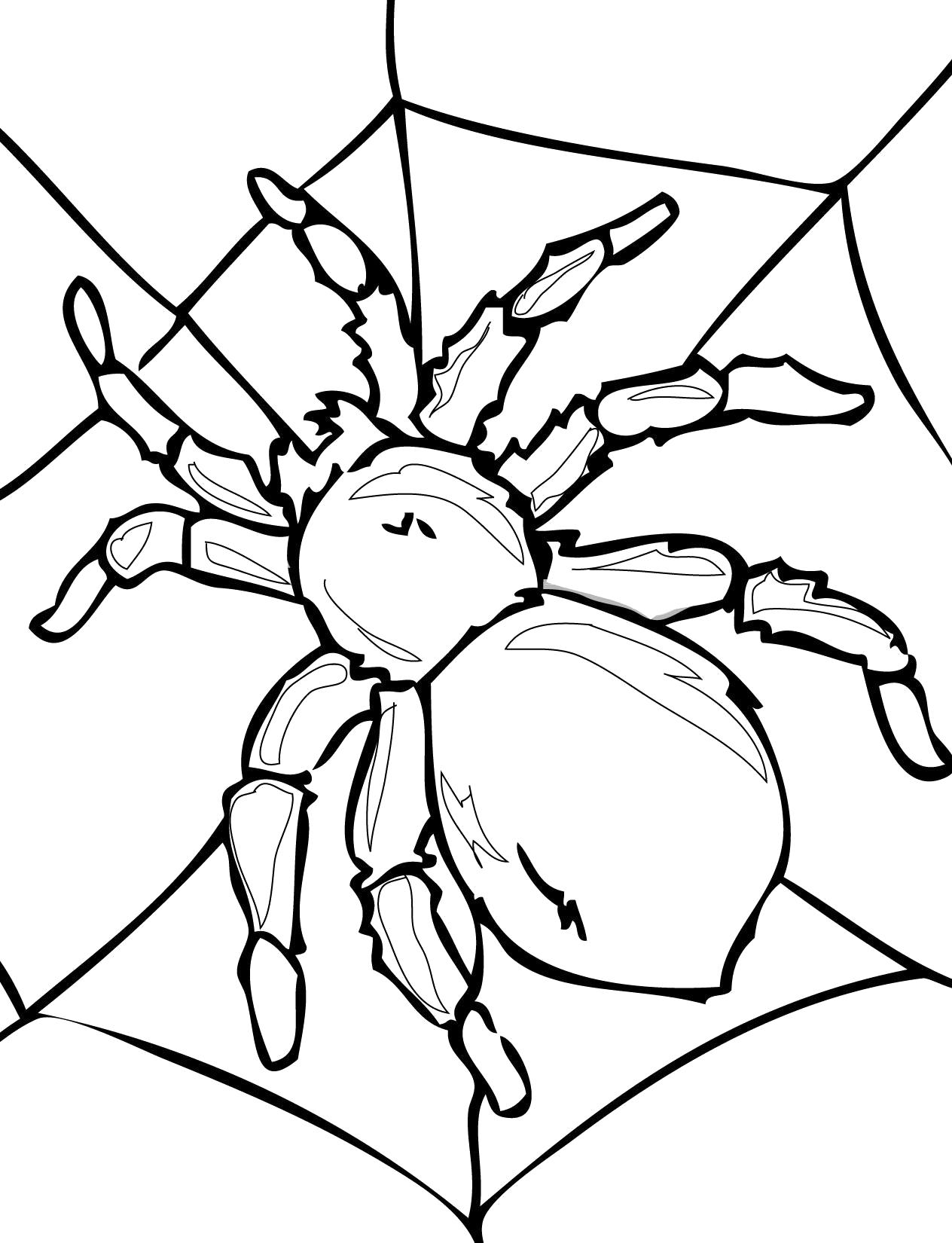 Название: Раскраска паук раскраска. Категория: Насекомые. Теги: Паук.