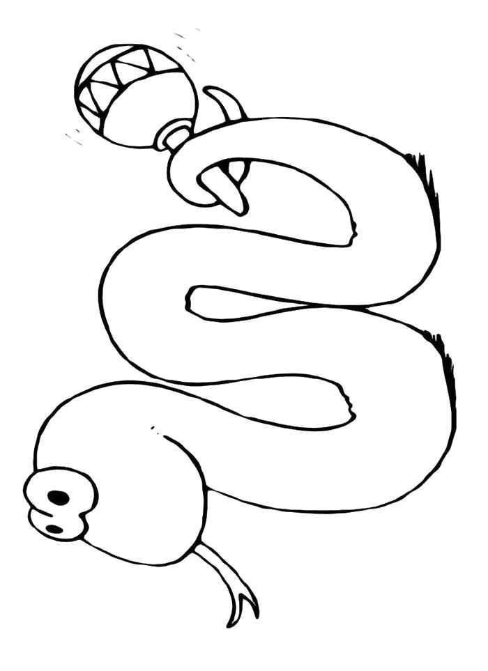 Раскраска  Змея с погремушкой. Скачать Змея.  Распечатать Змея