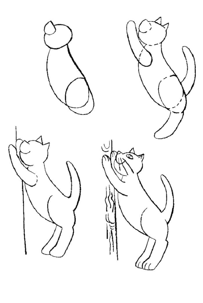 Раскраска как нарисовать кота, кот подтягивается. Скачать Как нарисовать.  Распечатать Как нарисовать