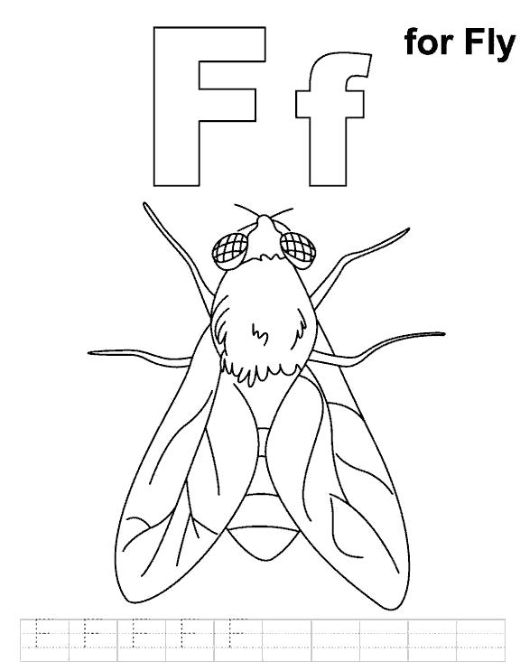 Название: Раскраска пропись английская муха. Категория: муха. Теги: муха.
