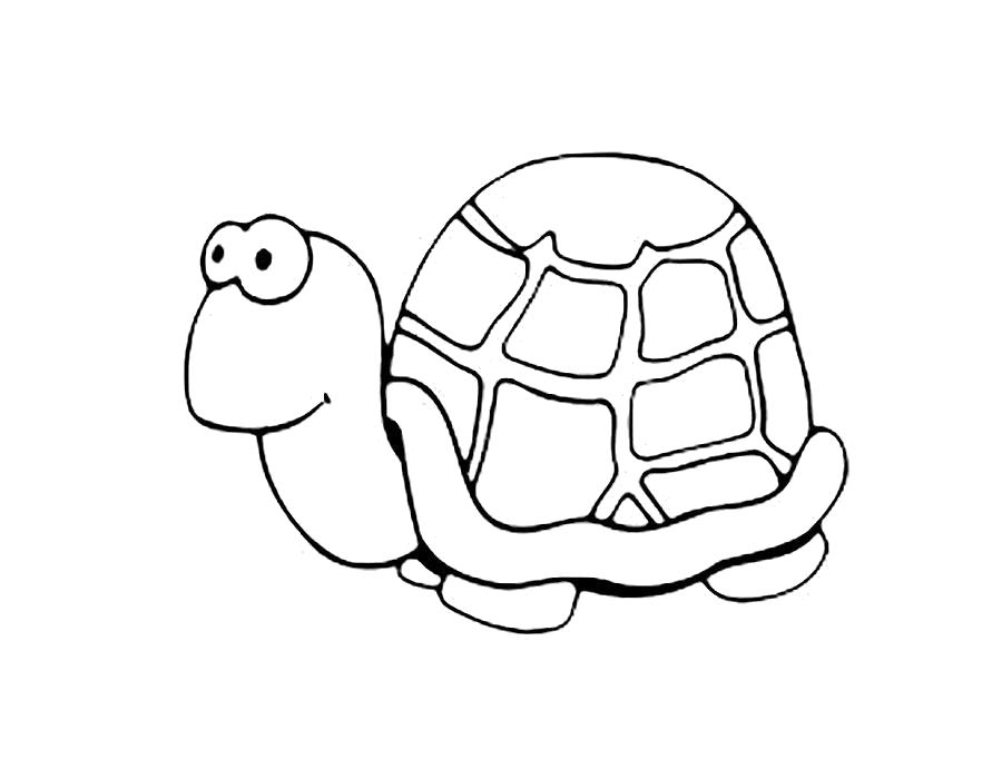 Раскраска Раскраска черепаха. Черепаха