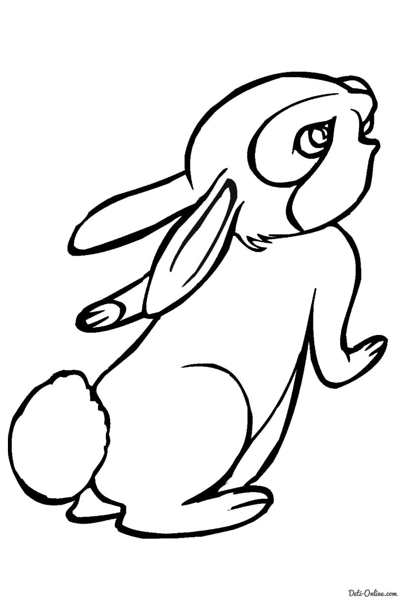 Раскраска ... | Раскраски Зайцы, зайчата, кролики Раскраска Зайчонок. Кролик
