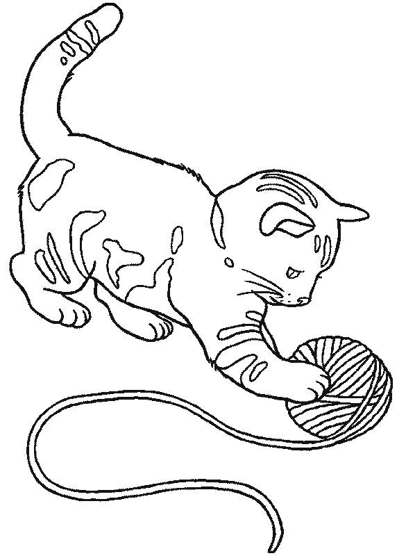 Раскраска котенок играет с клубком . Скачать кот, Котенок.  Распечатать Домашние животные