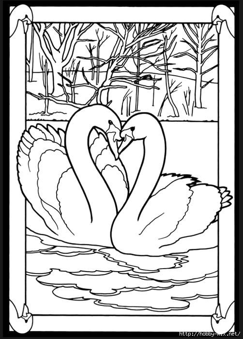 Лебеди Раскраска по номерам на холсте Worad Art Z-520