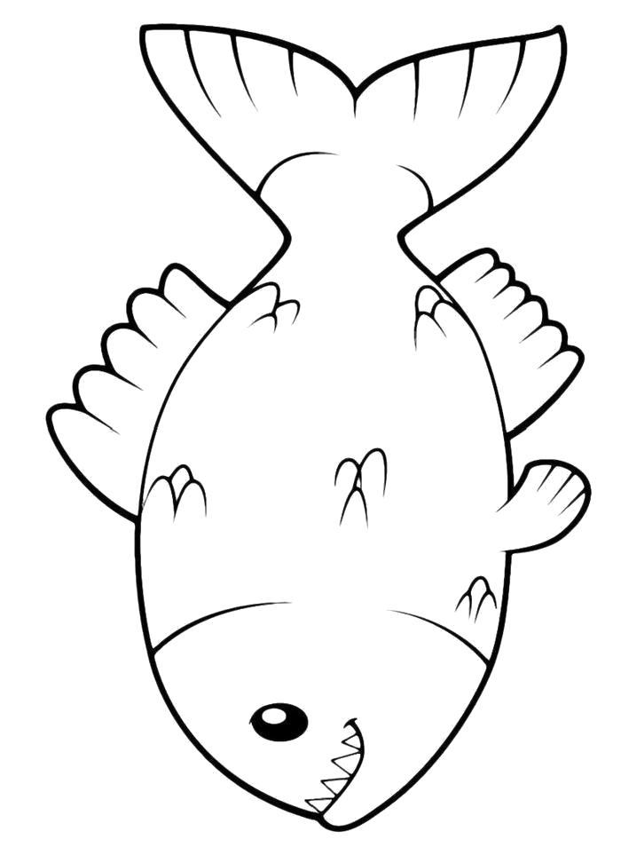 Раскраска Раскраска Зубастая рыбка пиранья. Рыбы