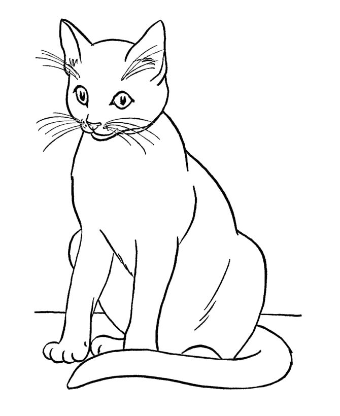 Раскраска Раскраски кошки и котята. Домашние животные