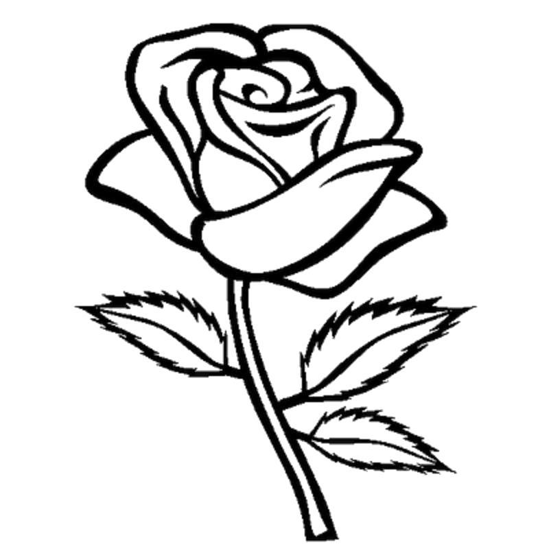 Раскраска Чудесная роза. 