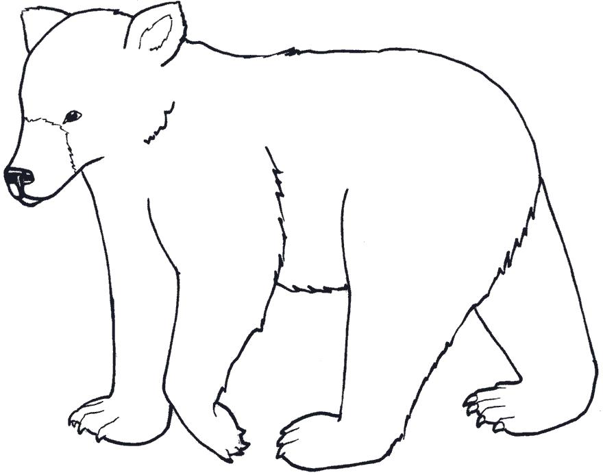 Раскраска Лесной медведь. Мишка