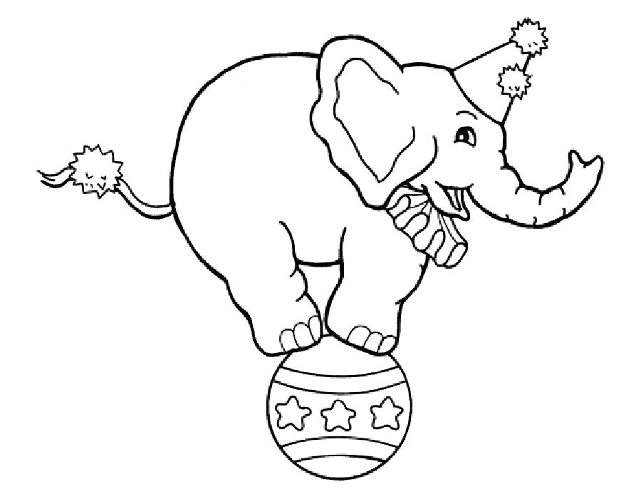 Раскраска Раскраска слон на шаре. слон
