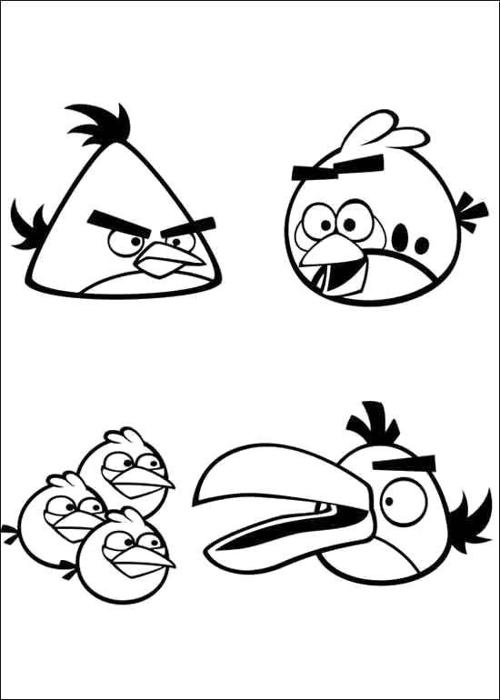 Раскраски Энгри бердз. Раскраски Angry Birds скачать