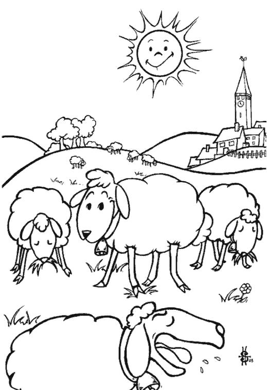Название: Раскраска Овечки. Категория: Домашние животные. Теги: Овца.