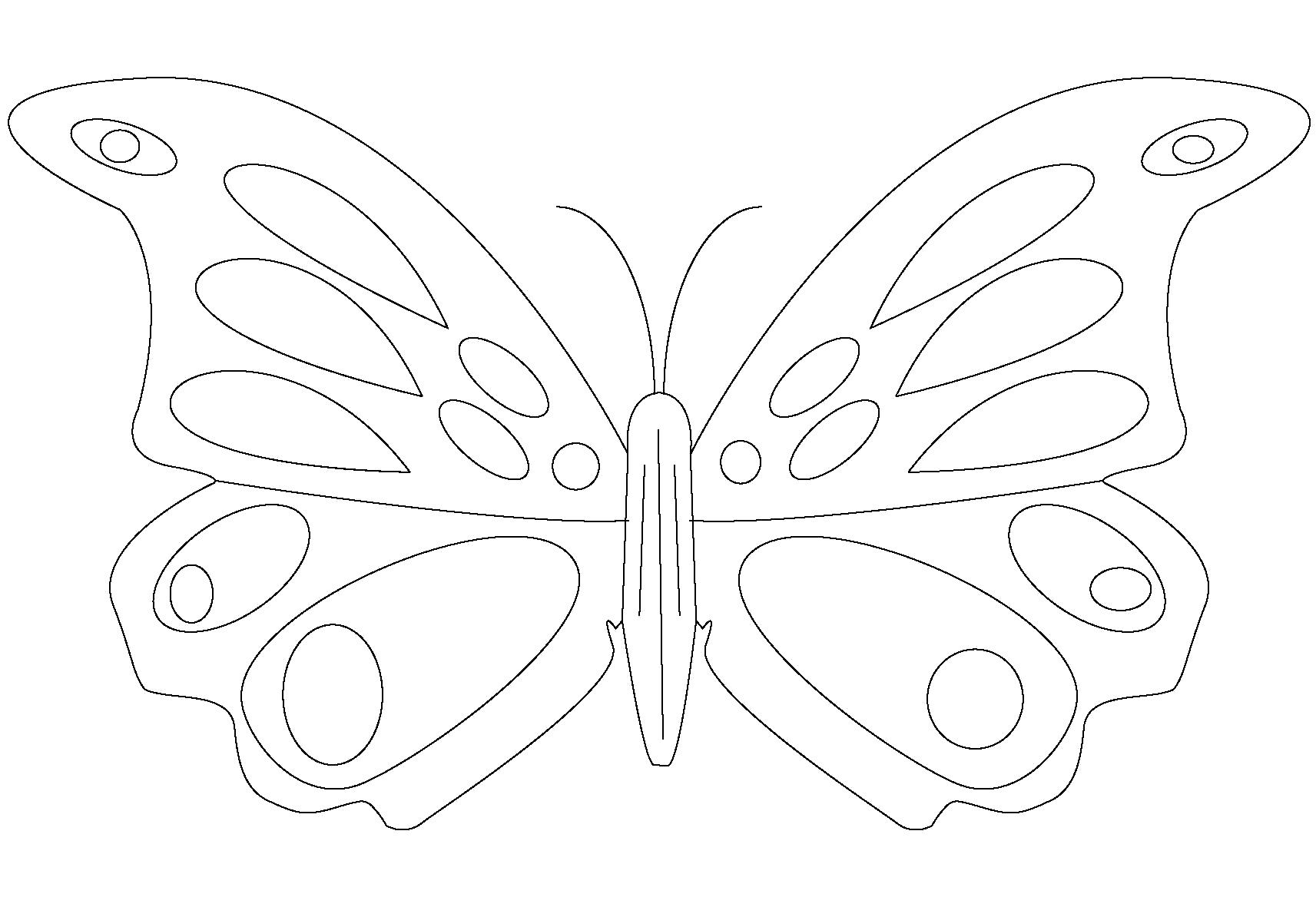 Название: Раскраска Бабочка раскраска. Категория: Бабочки. Теги: Бабочки.