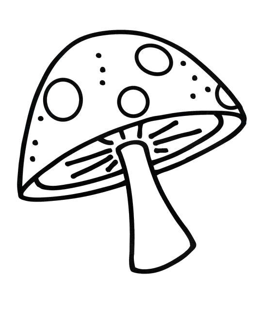 Раскраска Мухомор- гриб. 