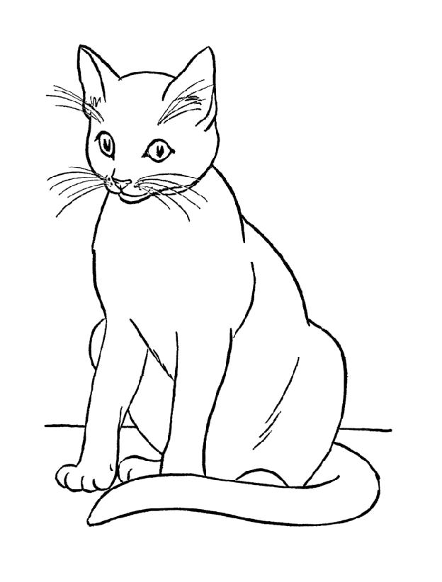 Название: Раскраска Раскраска Кошка. Категория: Домашние животные. Теги: кошка.