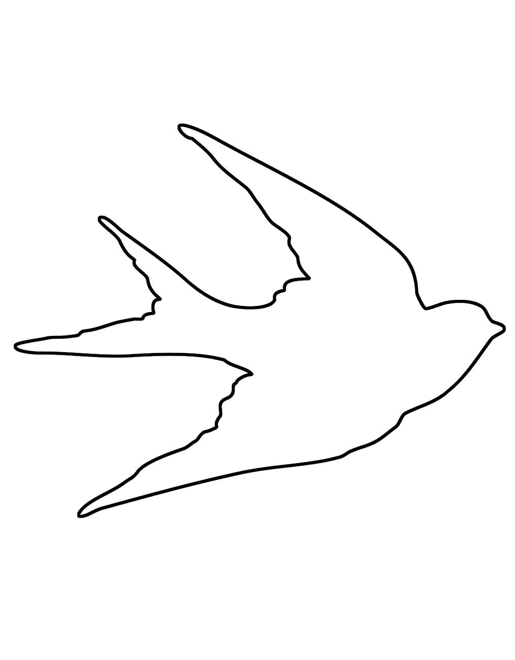 Название: Раскраска  Контуры птиц . Категория: Контур. Теги: Контур.