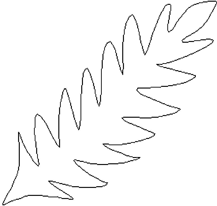 Название: Раскраска Раскраски природа лист папоротника шаблон. Категория: растения. Теги: лист.