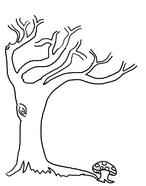 Раскраска Детская  дерево без листьев . Скачать дерево.  Распечатать растения