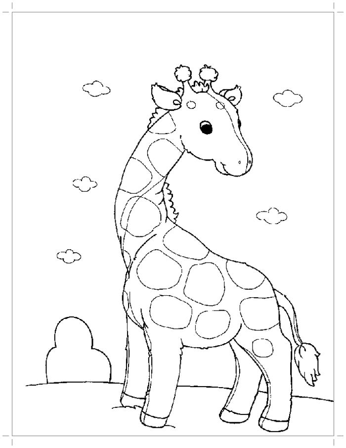Раскраска  жираф для малышей. Скачать жираф.  Распечатать жираф