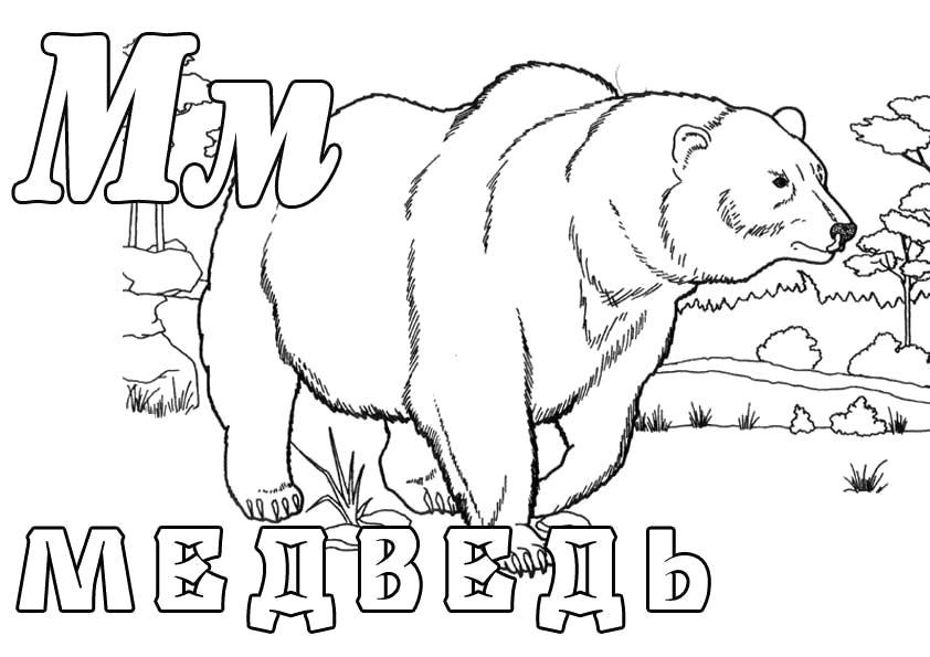 Раскраска  "Зоопарк", Буква М, Медведь. Скачать буквы.  Распечатать буквы