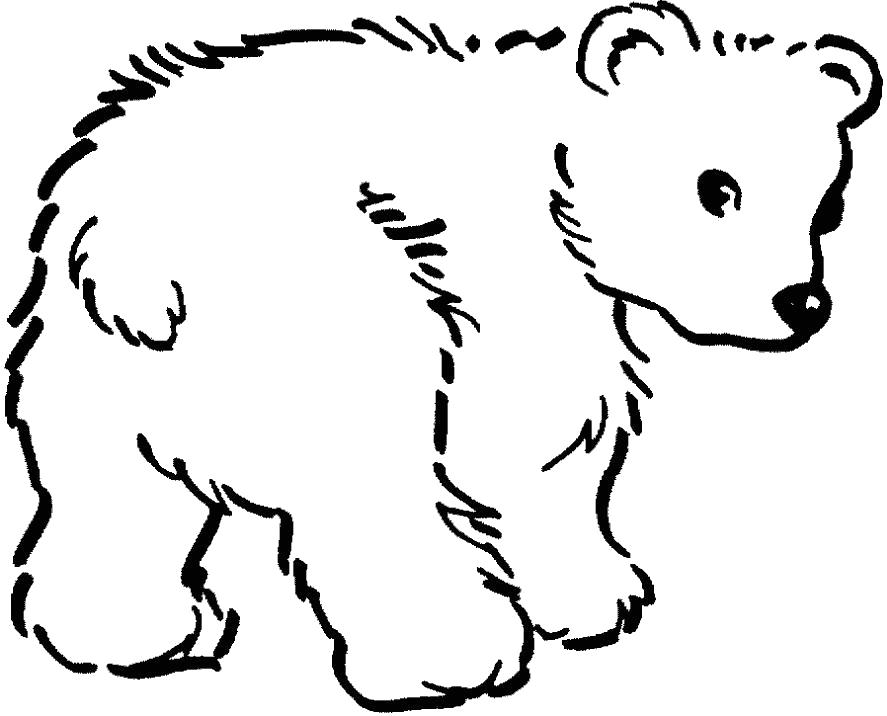 Раскраска Жалобный Медвежонок . Дикие животные